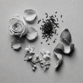 White Tea | Inspired by Shangri-La